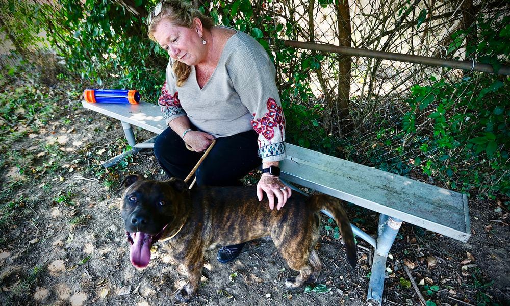 Julie Holmes-Taylor, Director of the Greene County Animal Control, spends time outside with Jager, Wednesday, Aug. 28, 2024. Jaeger is one of several dogs up for adoption at the shelter. MARSHALL GORBY\STAFF