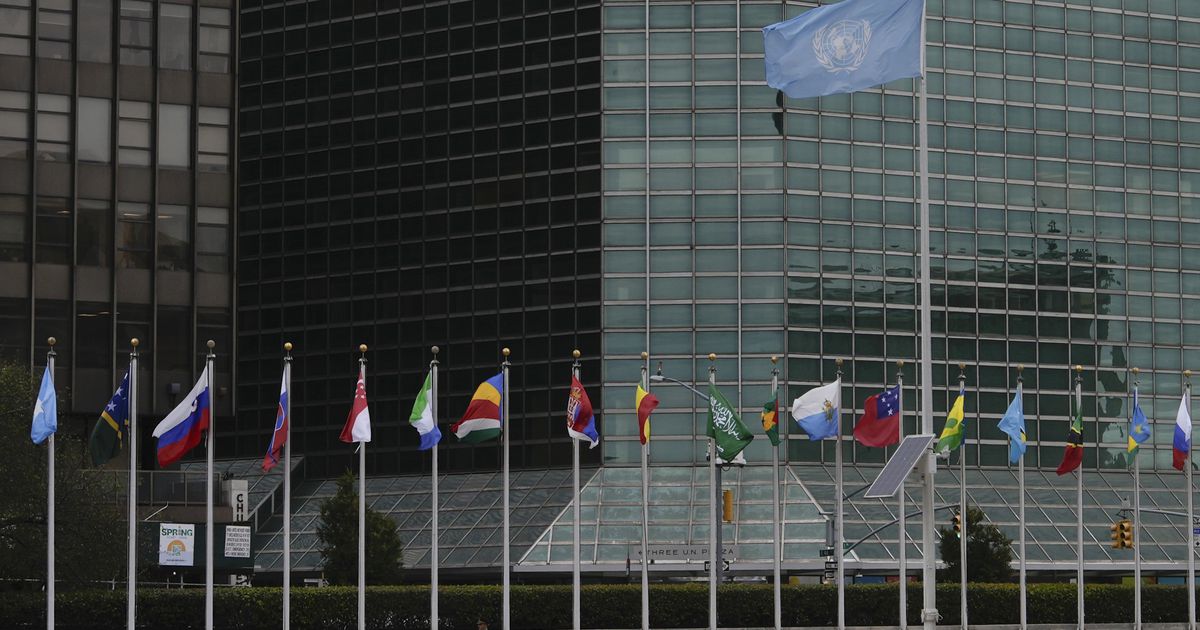 The New Youth Leader at the UN Discusses Benefits for Young People