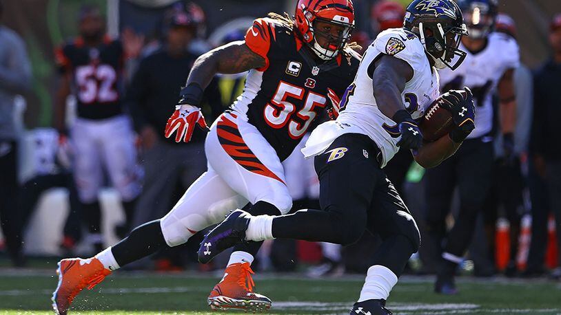 Cincinnati Bengals - Paul Brown Stadium - Shaw Sports Turf