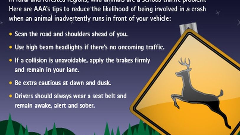 Safety Tips for Unexpected Wildlife Encounters