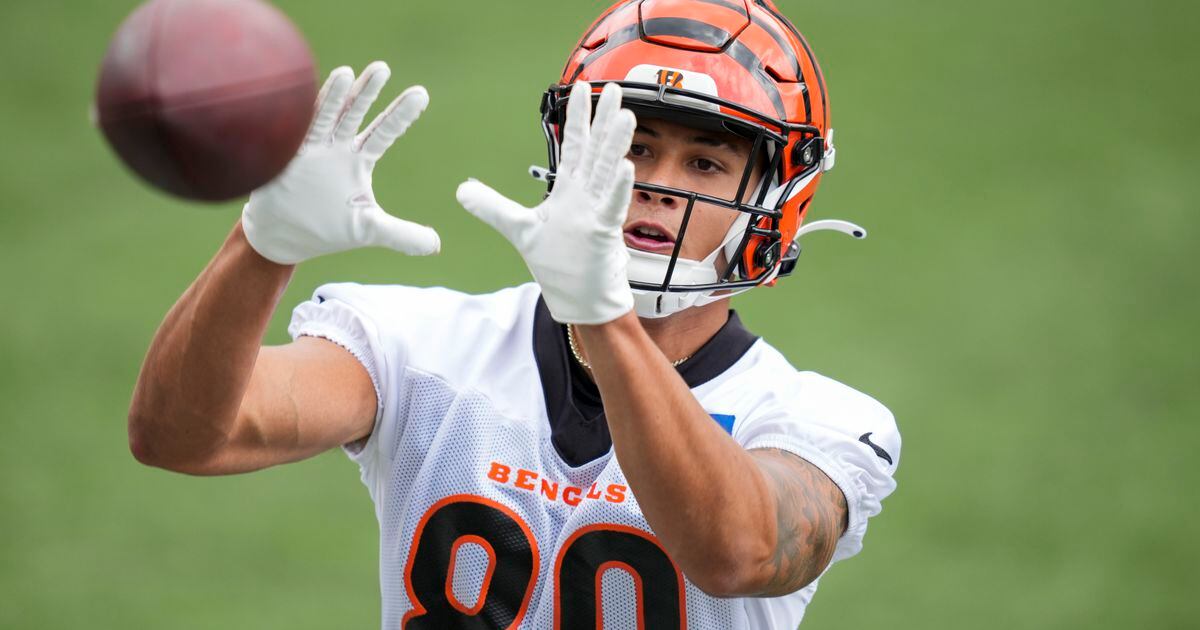 Bengals' rookies get their shot