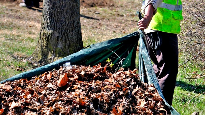 Elias Mendez Ambrocio from Brickman Landscaping pulls a tarp full of leaves to a waiting truck at Sunset Park in Middletown in this file photo. STAFF