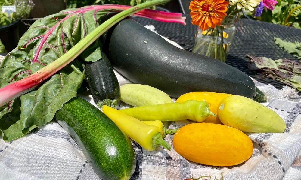 Possum Creek MetroPark has a pick-your-own flowers, produce and herb program on Wednesday nights. NATALIE JONES/STAFF