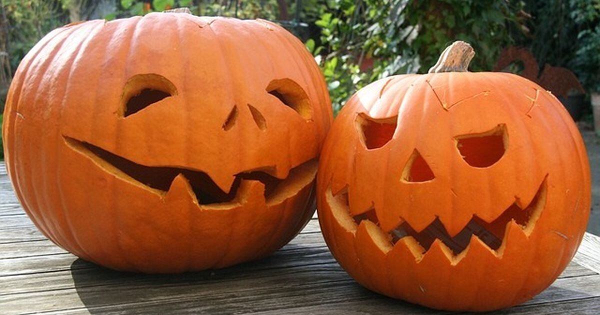 Raiders  Amazing pumpkin carving, Halloween pumpkins carvings