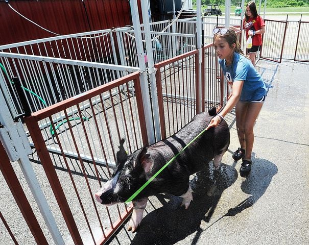 MONTGOMERY COUNTY FAIR