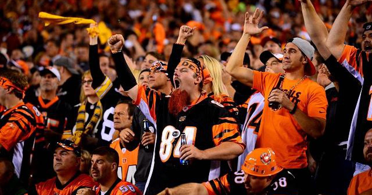 Bengals ticket packs on sale Tuesday