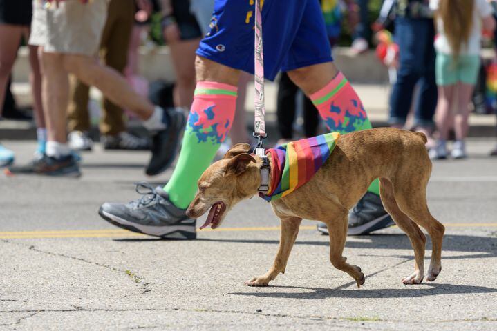 PHOTOS: Dayton Pride Parade & Festival in downtown Dayton