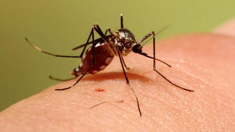 Only a few of the 59 species of mosquitoes in Ohio can transmit disease. However, the diseases these mosquitoes can carry are very serious and include: Eastern equine encephalitis, La Crosse encephalitis, St. Louis encephalitis and West Nile virus. FILE PHOTO