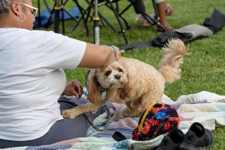 PHOTOS: Levitt Pavilion 2024 Season Announcement Preview Concert with The Luv Locz Experiment