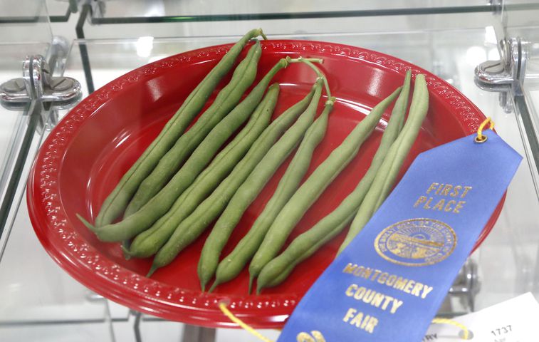 PHOTOS: First-day fun at the Montgomery County Fair