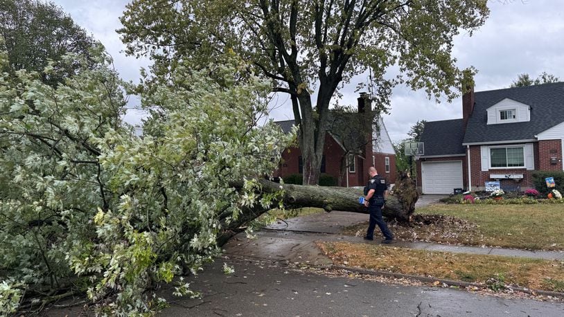 Strong winds from Hurricane Helene knocked down a tree in the 300 block of Lewiston in Kettering just after 2 p.m. Friday, Sept. 27, 2024. Photo courtesy Mark Fisher.