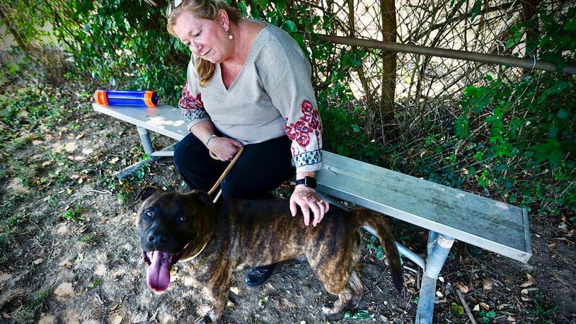 Julie Holmes-Taylor, Director of the Greene County Animal Control, spends time outside with Jager, Wednesday, Aug. 28, 2024. Jaeger is one of several dogs up for adoption at the shelter. MARSHALL GORBY\STAFF