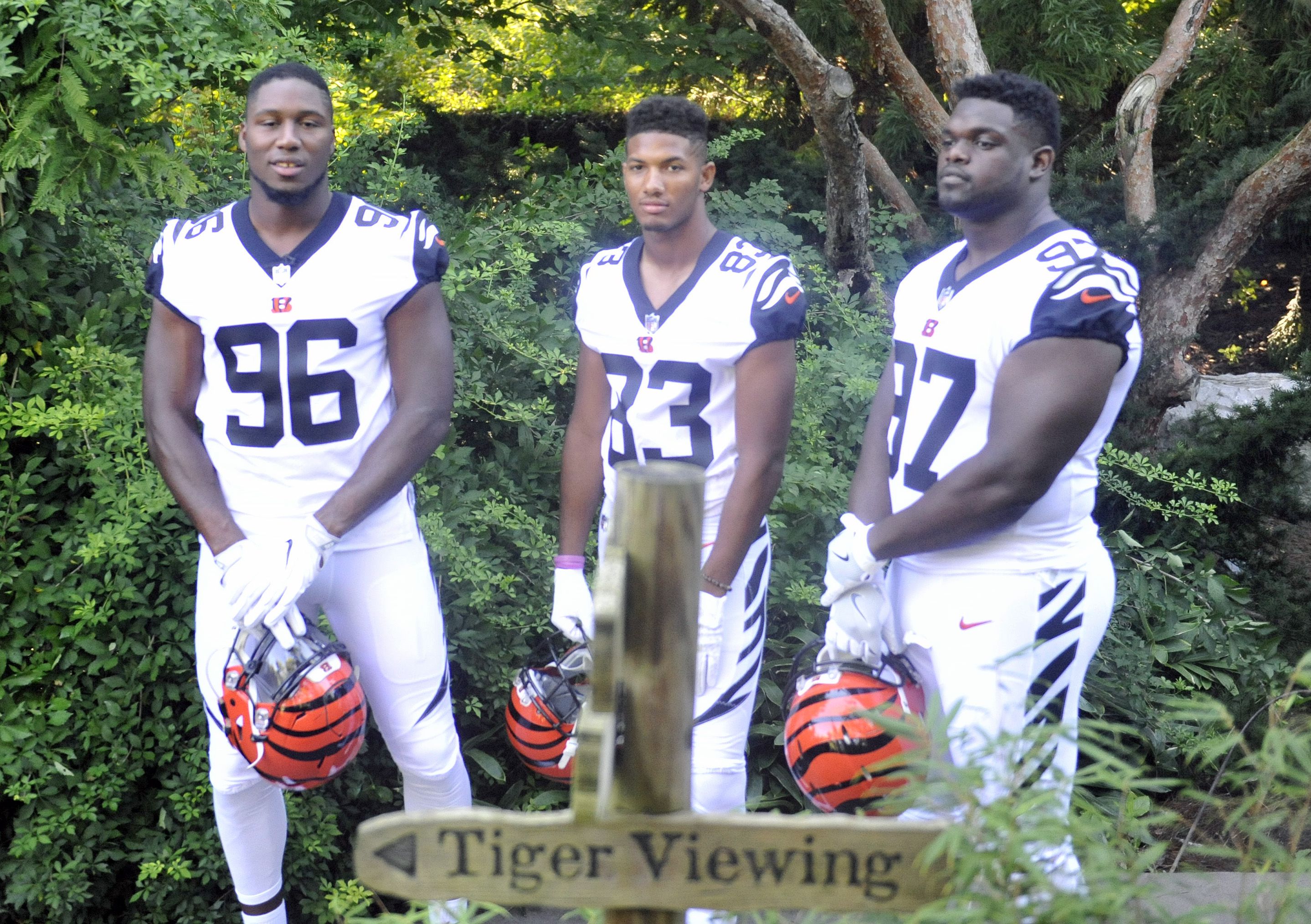 Photos: Cincinnati Bengals unveil first new uniform in 17 years