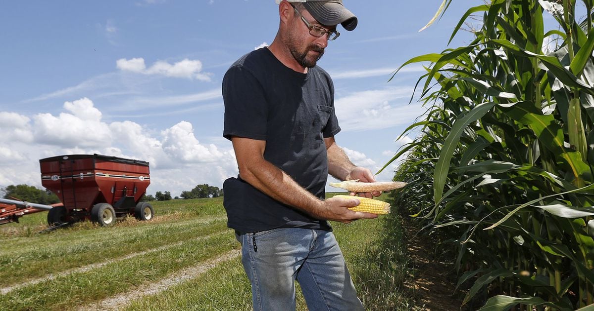 Farmers face worst season in memory, 1.5M acres not planted