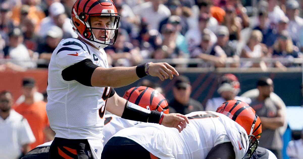 Bengals lose to Bears in football game Sunday, 20-17