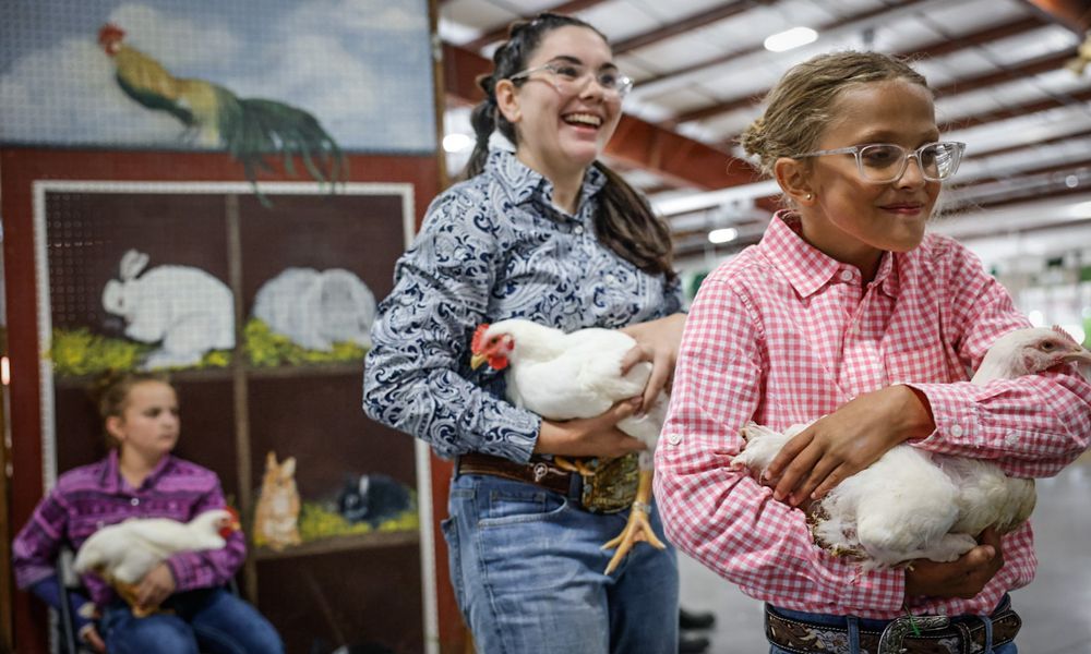 Ashlynn Cummins, left from Germantown and Ell Grace Rike from Lewisburg head to the stage to auction their meat chickens during the Junior fair sale at the Montgomery County Fair Wednesday July 10, 2024. Rike made $150 for her meat chicken. JIM NOELKER/STAFF