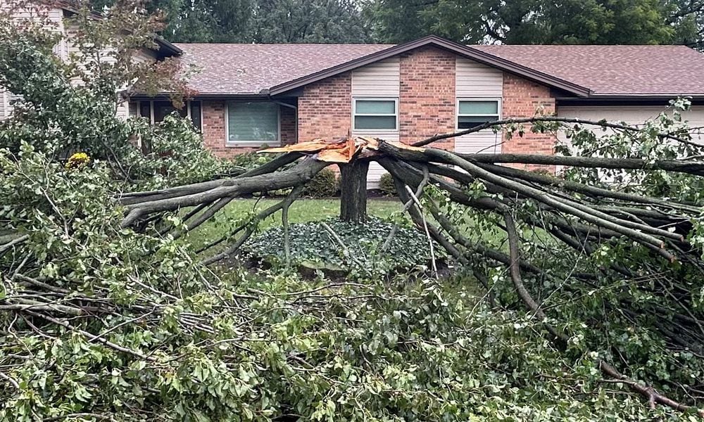 A tree at a home on Hyde Park Drive in Centerville was split into two Friday night, Sept. 27, 2024 after winds from remnants of Hurricane Helene swept through the area. Jeremy Kelley/Staff photo