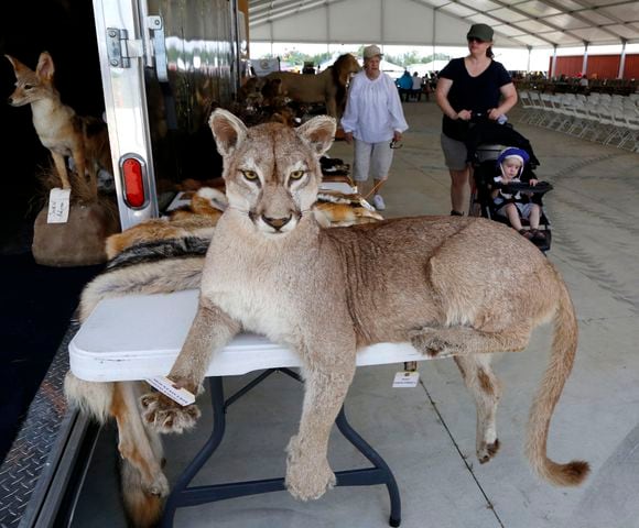 PHOTOS: First-day fun at the Montgomery County Fair