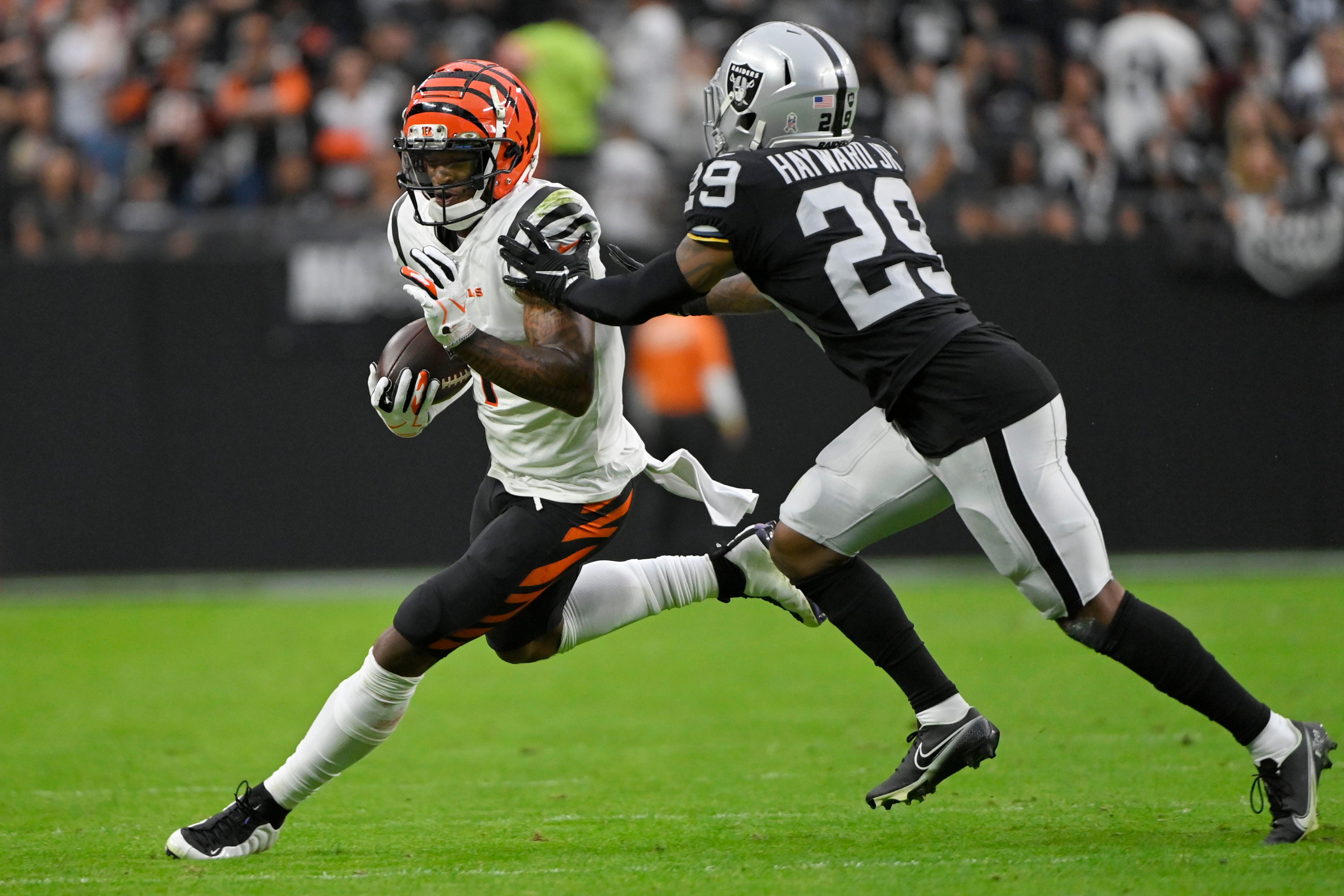 3,660 Bengals V Raiders Stock Photos, High-Res Pictures, and