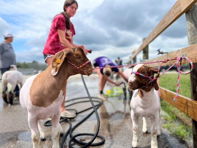 Montgomery County Fair