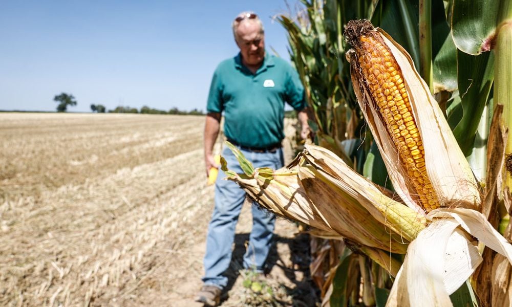 Greene County farmer and former teacher Craig Corry keeps an eye on his field corn. Drought conditions have covered most of the state Ohio. JIM NOELKER/STAFF