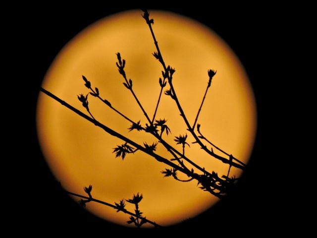 PHOTOS: Biggest supermoon of the year seen over Miami Valley