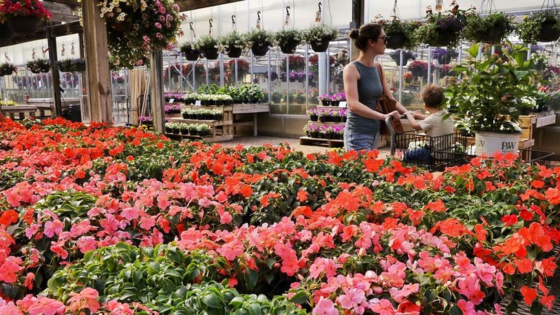 Tracy Centers shops with her son, Cole, at Berns Garden Center in Middletown. Berns was voted best greenhouse in the Journal-News Best of Butler County 2023. NICK GRAHAM/STAFF