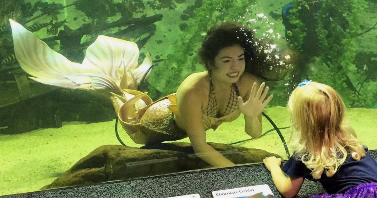 Mermaids at Newport Aquarium will interact, share message of protecting oceans from waste