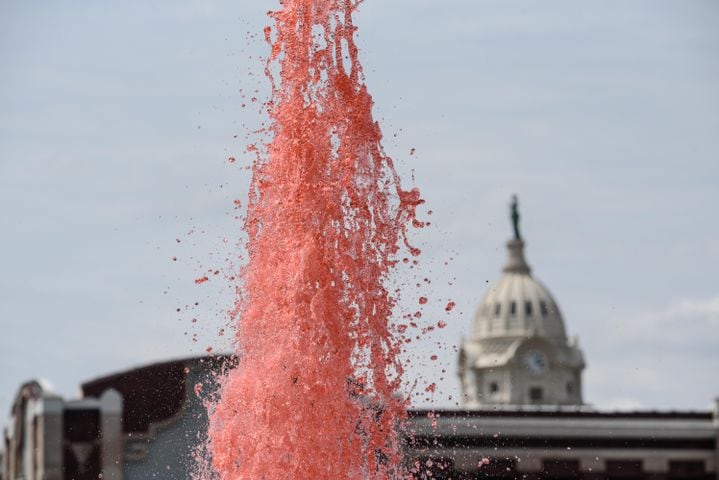 PHOTOS: 48th annual Troy Strawberry Festival