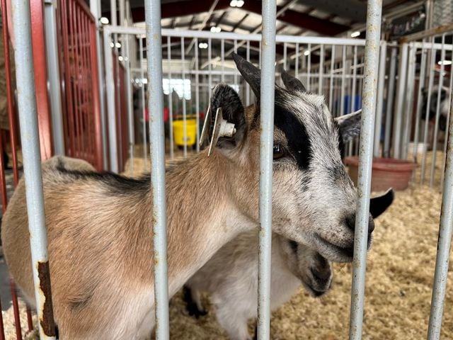 Montgomery County Fair