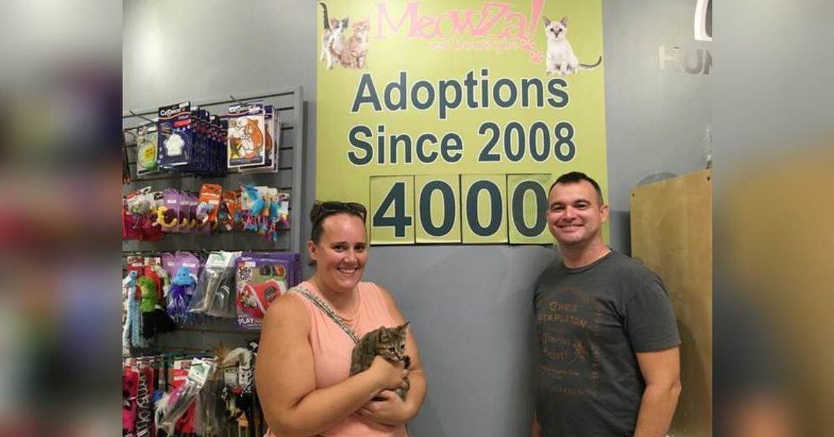 MeowZa Cat Boutique celebrates 4 000th adoption