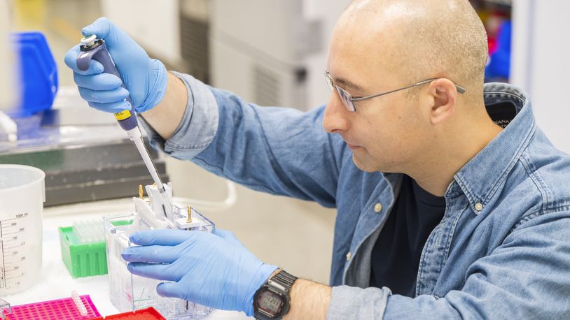 A lab technician prepares DNA samples for analysis at Complete Genomics in San Jose, Calif., Monday, July 22, 2024. (AP Photo/Nic Coury)