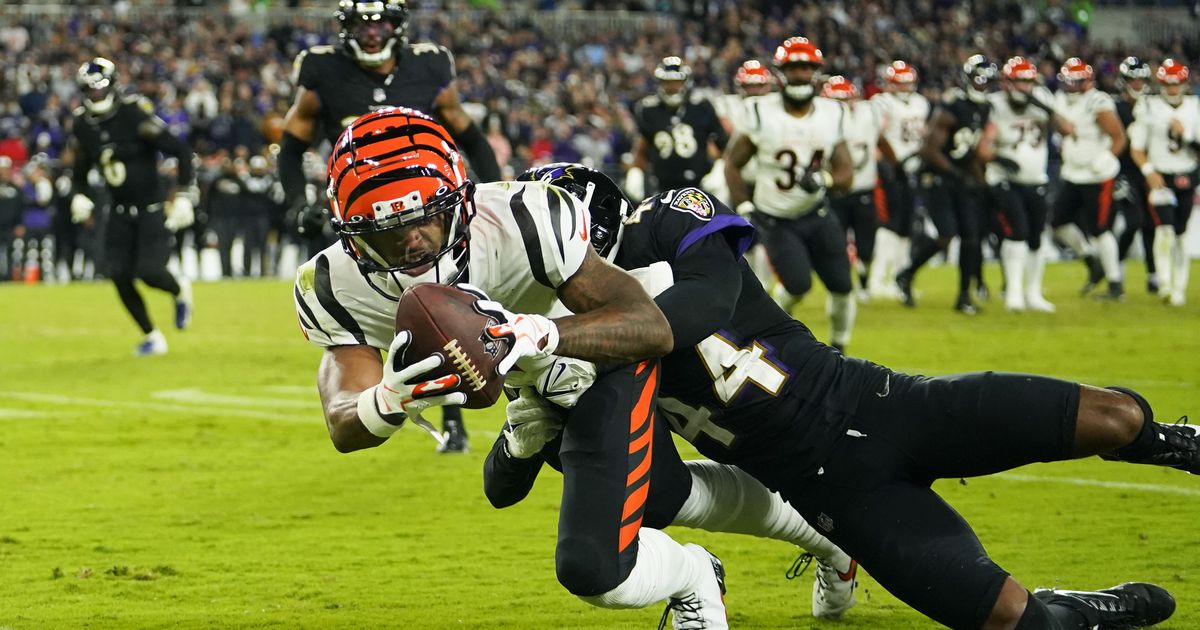 NFL makes scheduling decision on Bengals regular-season finale against  Ravens