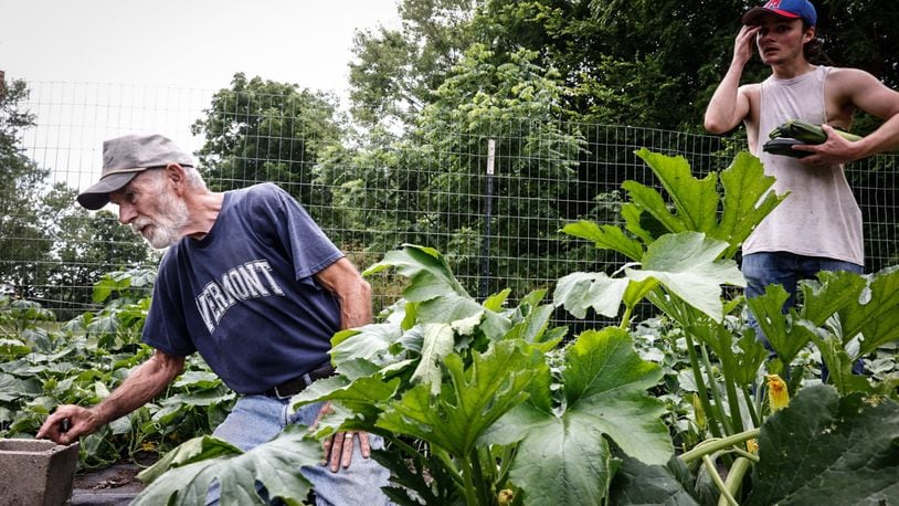 Malcom Jewett, 77 left, harvest summer squash with his grandson Corey Greer on his land in Spring Valley Wednesday July 3, 2024. Jewett donates much of his produce to Kitchens around Dayton to feed hungry people. Jim Noelker/Staff