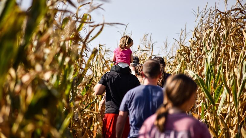 FILE PHOTO: Fall on the Farm at Jackson Family Farm is on West Alexandria Road in Madison Twp. The educational farm experience features pedal tractors, pumpkin patch, farm animals, corn maze, hay tower, hayride to the cattle field, pumpkin jump pad and more. NICK GRAHAM / STAFF