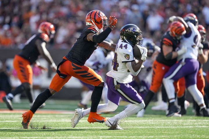 Ravens Bengals Football