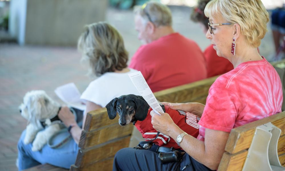 Epiphany Lutheran Church, located at 6430 Far Hills Ave. in Centerville, hosted a Blessing of the Animals celebration at the churchâs outdoor chapel on Saturday, Oct. 5, 2024. The service was officiated by Pastor Julie Reuning-Scherer of Epiphany Lutheran Church and Fr. Brian Phelps of Church of the Incarnation and St. Francis of Assisi Church. TOM GILLIAM / CONTRIBUTING PHOTOGRAPHER