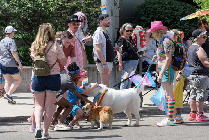 PHOTOS: Dayton Pride Parade & Festival in downtown Dayton