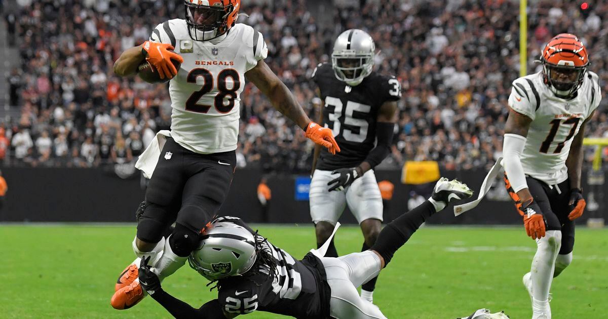 PHOTOS Bengals vs. Raiders