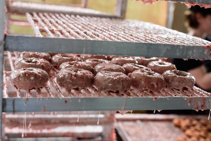 PHOTOS: 48th annual Troy Strawberry Festival