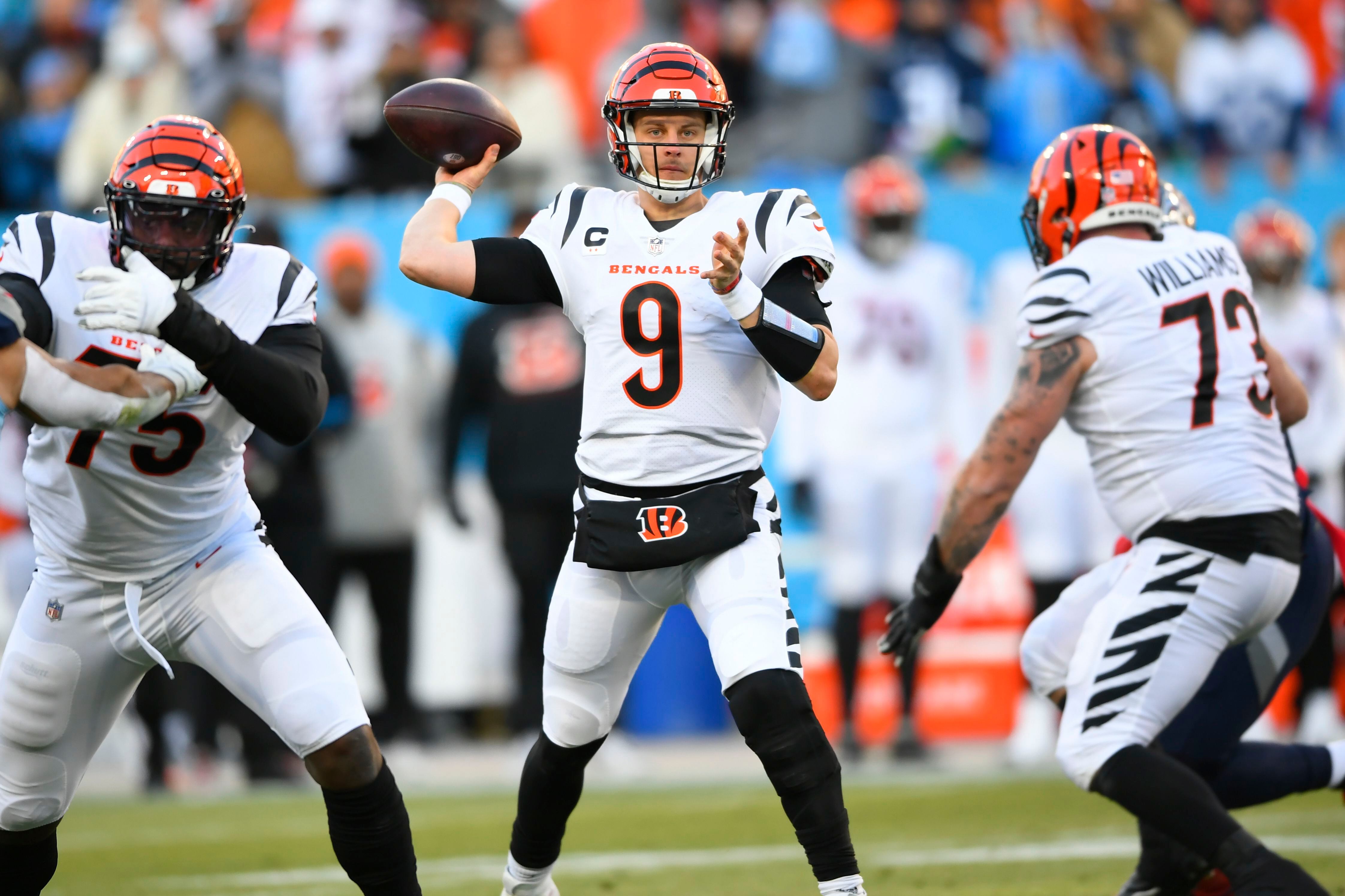 PHOTOS: Cincinnati Bengals at Tennessee Titans, Jan. 22, 2022, AFC