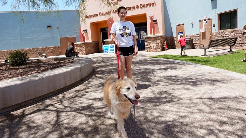 FILE - Rori Chang, of Glendale, Ariz., walks with her dog Ava as they leave the Maricopa Country Animal Care & Control facility after Ava was microchipped on June 30, 2023, in Phoenix. As most people look forward to July Fourth celebrations, those with pets are searching for solutions to the anxiety that fireworks bring. (AP Photo/Ross D. Franklin, file)