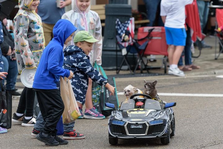 PHOTOS: 2024 Tipp City Mum Festival Parade