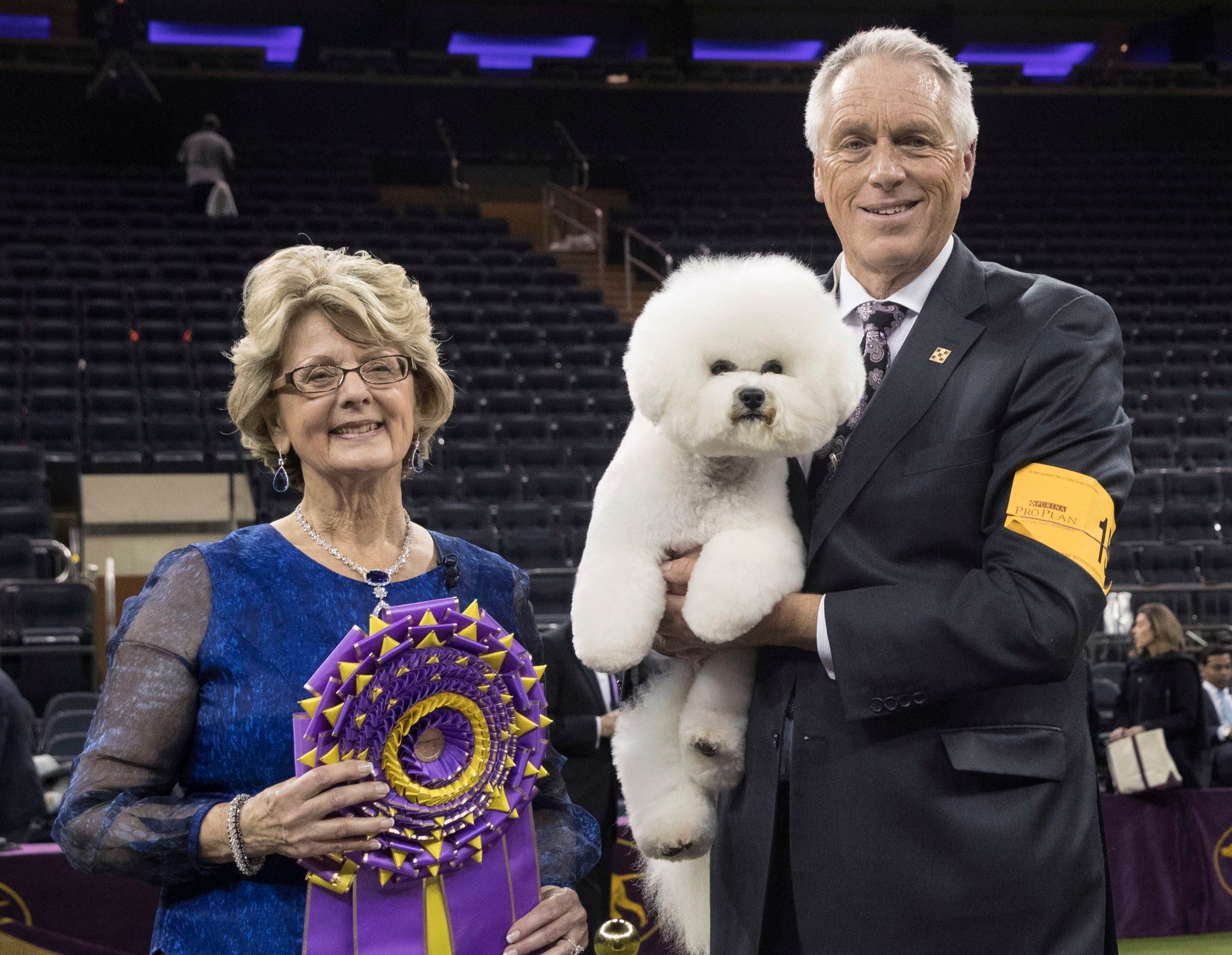 who won the dog show 2018