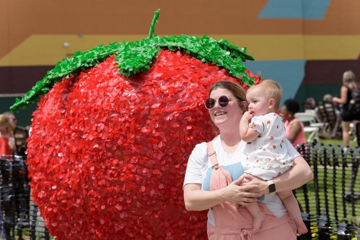 PHOTOS: 48th annual Troy Strawberry Festival