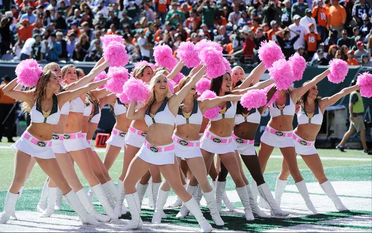 Arizona Cardinals cheerleaders 2014