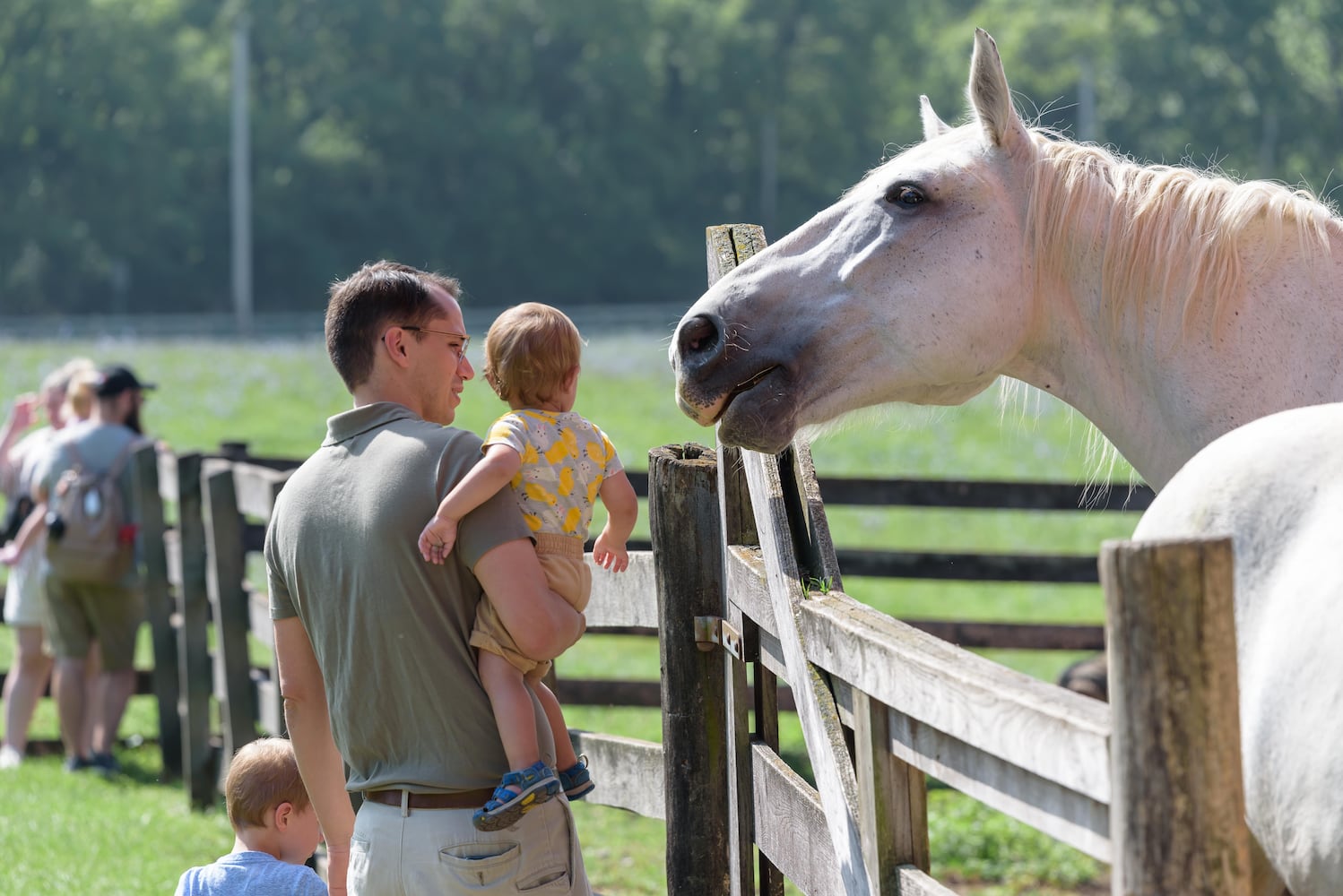 PHOTOS: 2024 Small Farm & Food Fest at Carriage Hill MetroPark