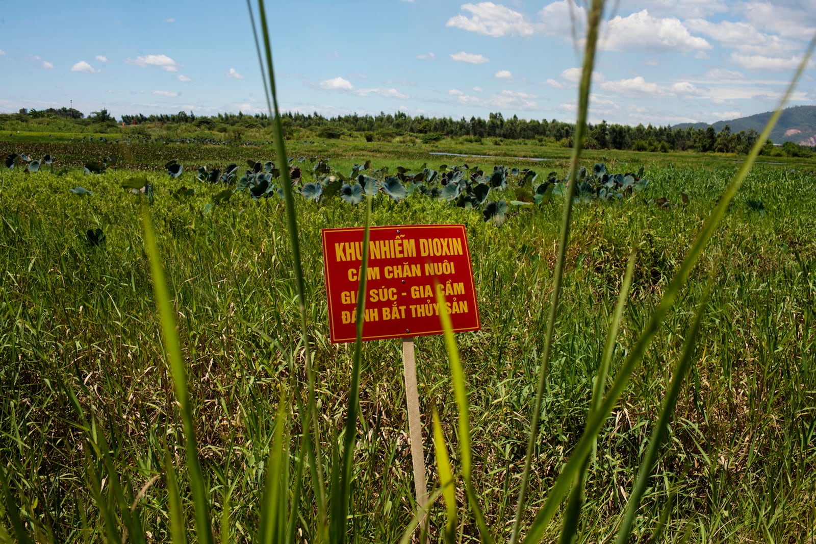 FILE- A warning sign stands in a field contaminated with dioxin near Danang airport, during a ceremony marking the start of a project to clean up dioxin left over from the Vietnam War, at a former U.S. military base in Danang, Vietnam, Aug. 9, 2012. The sign reads; "Dioxin contamination zone - livestock, poultry and fishery operations not permitted." (AP Photo/Maika Elan, File)