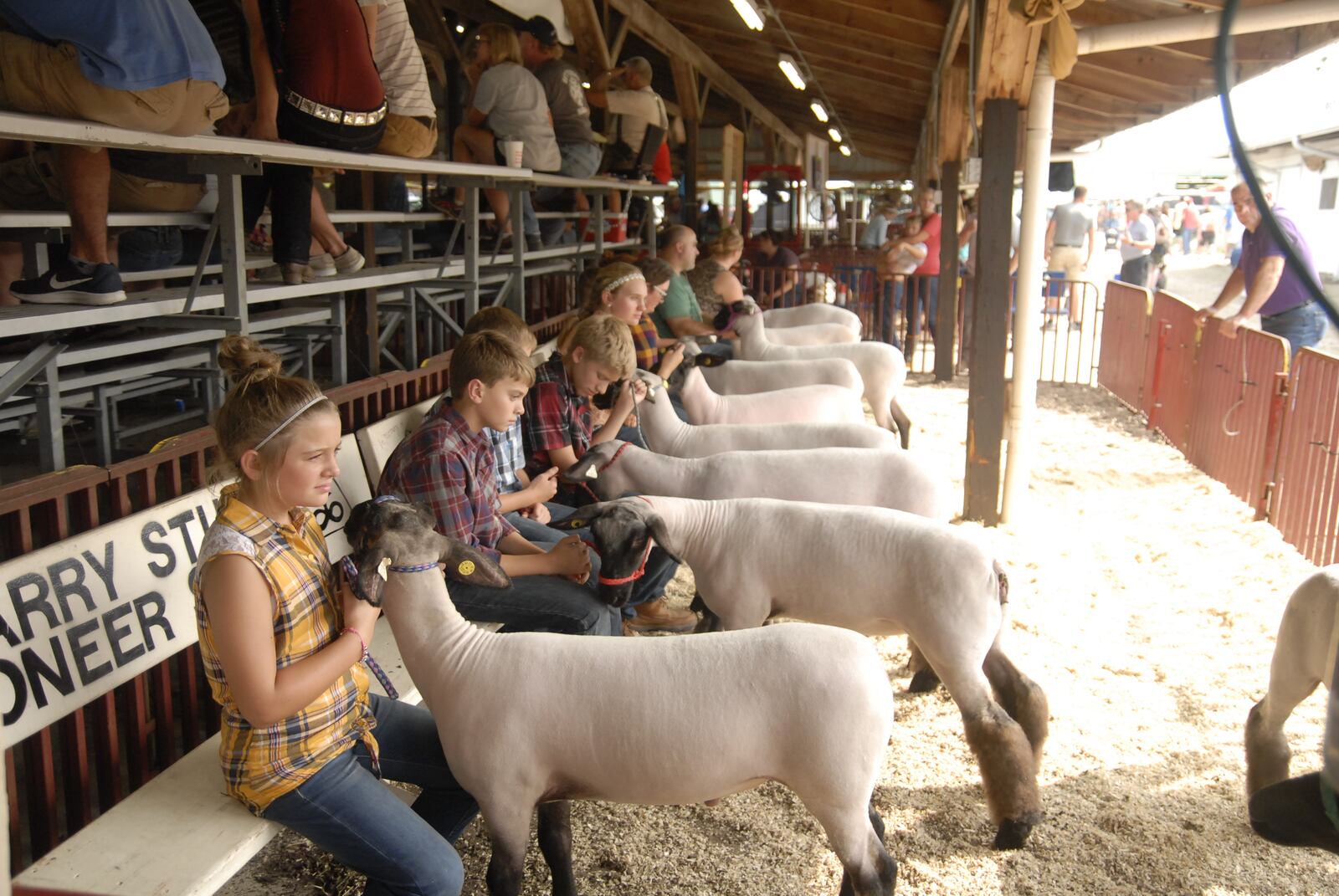 There's good reason the Great Darke County Fair is one of the greatest fairs in the region.  DAVID MOODIE/CONTRIBUTED