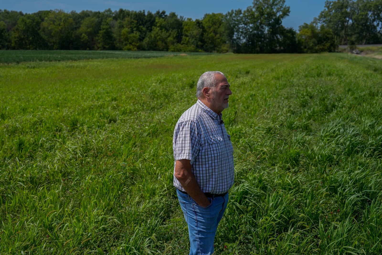 Bill Kellogg stands in a buffer strip that filters nutrient runoff from his agricultural fields, Tuesday, Aug. 27, 2024, in Forest, Ohio. (AP Photo/Joshua A. Bickel)